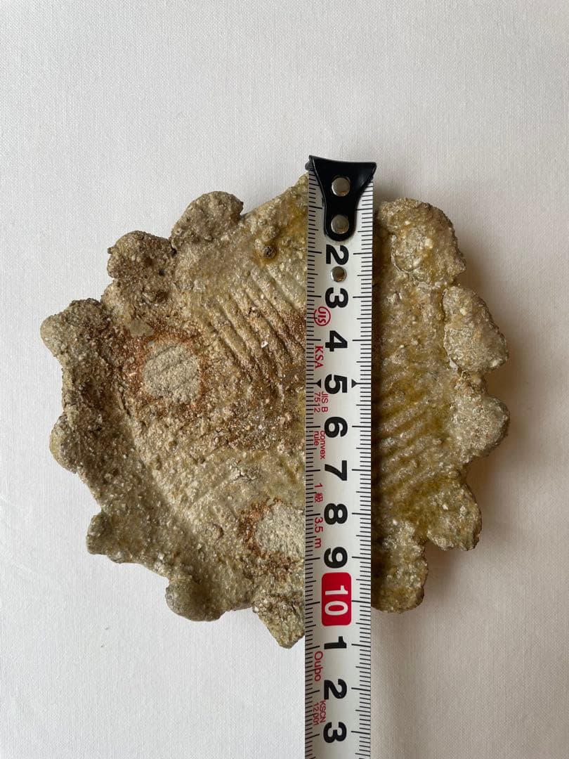 國吉清尚 作　白土　小皿