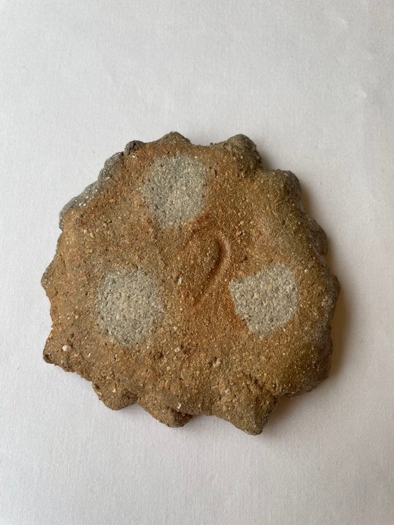 國吉清尚 作　白土　小皿