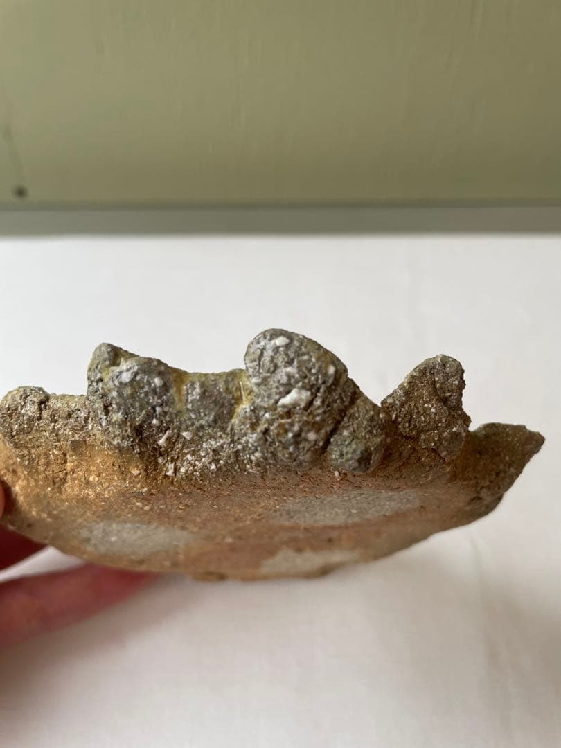 國吉清尚 作　白土　小皿