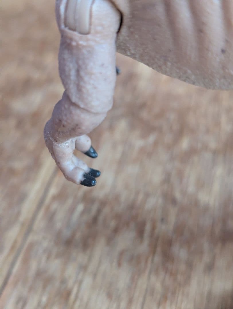 ハモンドコレクション　メトリアカントサウルス