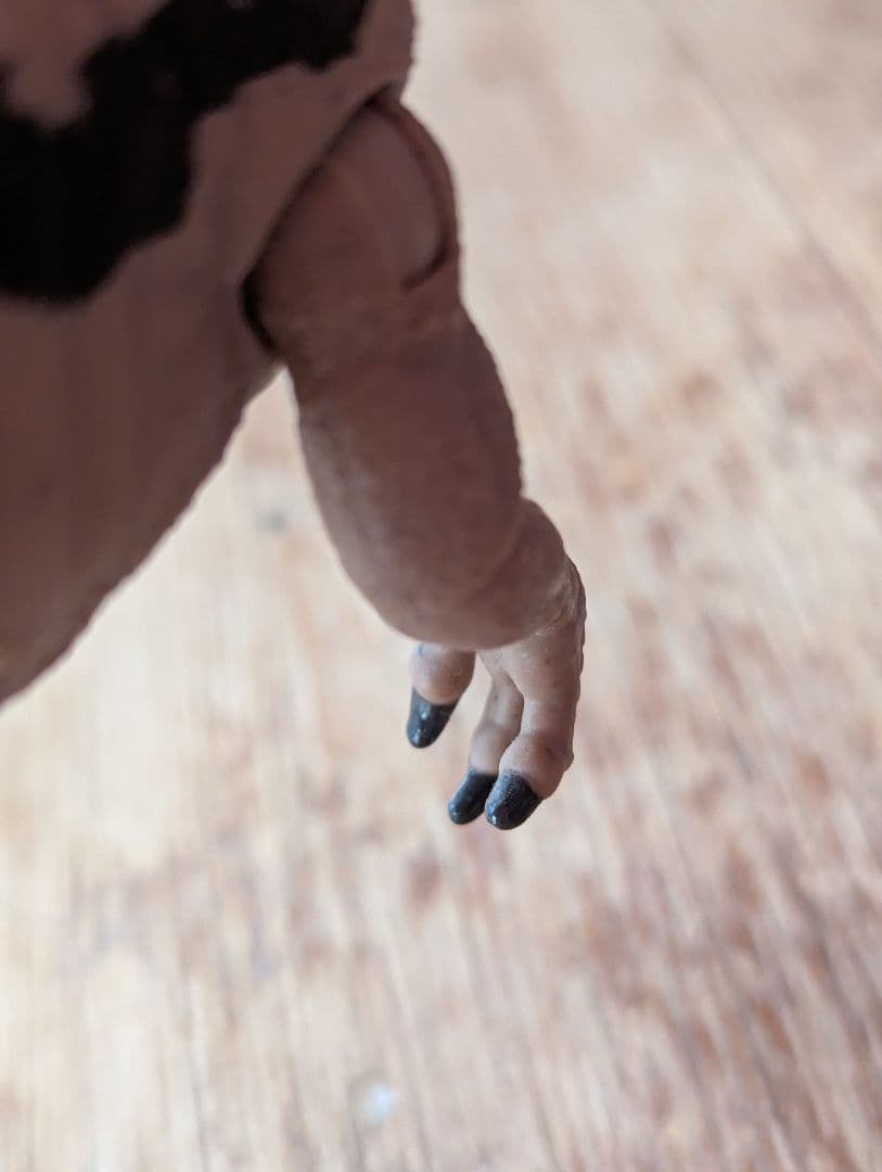 ハモンドコレクション　メトリアカントサウルス