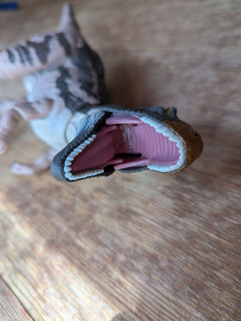 ハモンドコレクション　メトリアカントサウルス