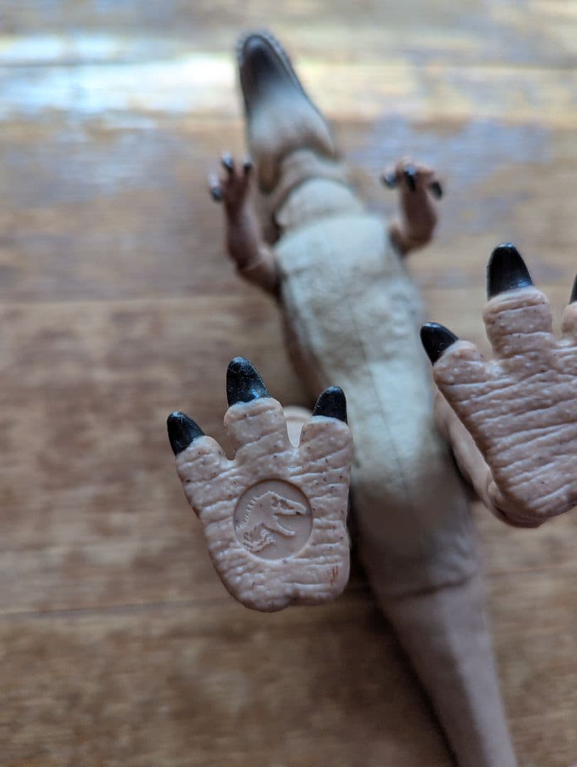 ハモンドコレクション　メトリアカントサウルス