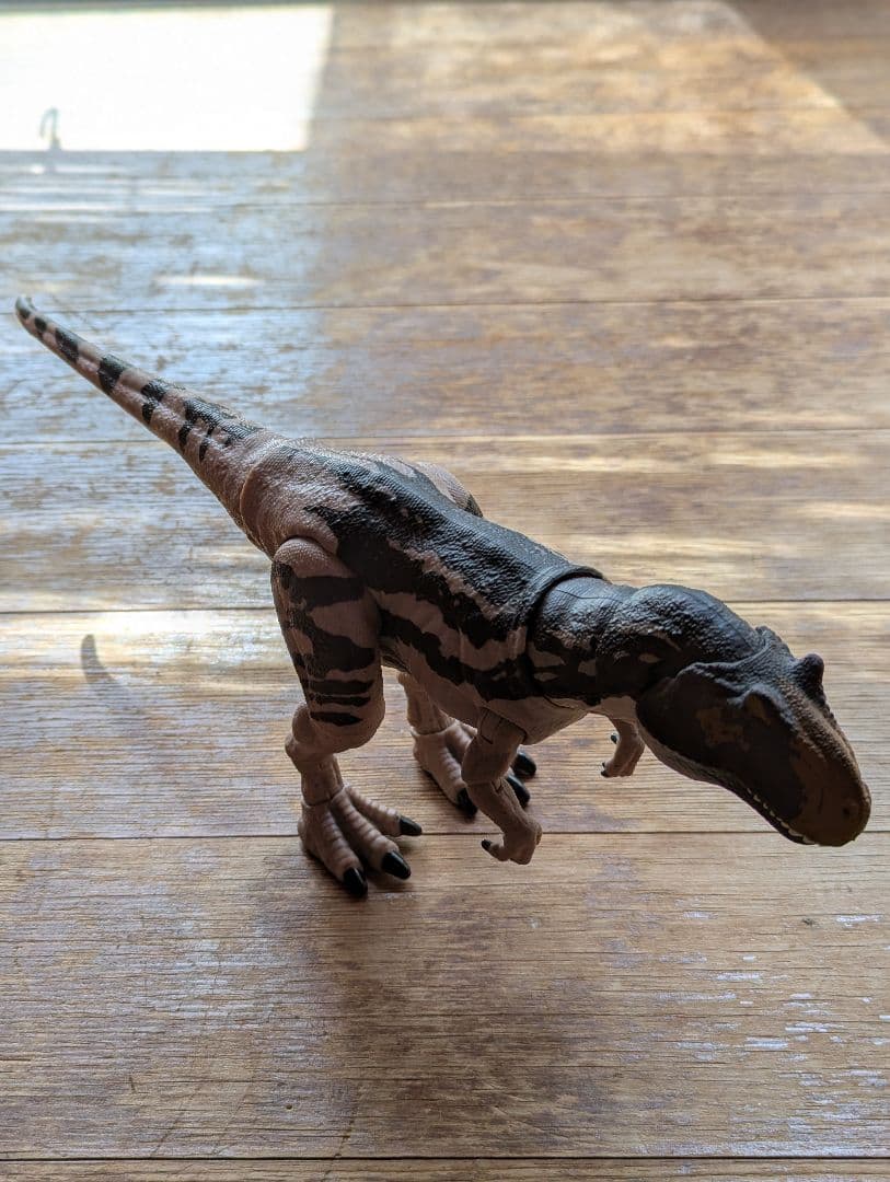 ハモンドコレクション　メトリアカントサウルス