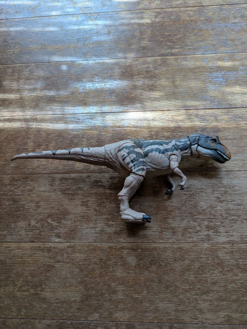 ハモンドコレクション　メトリアカントサウルス