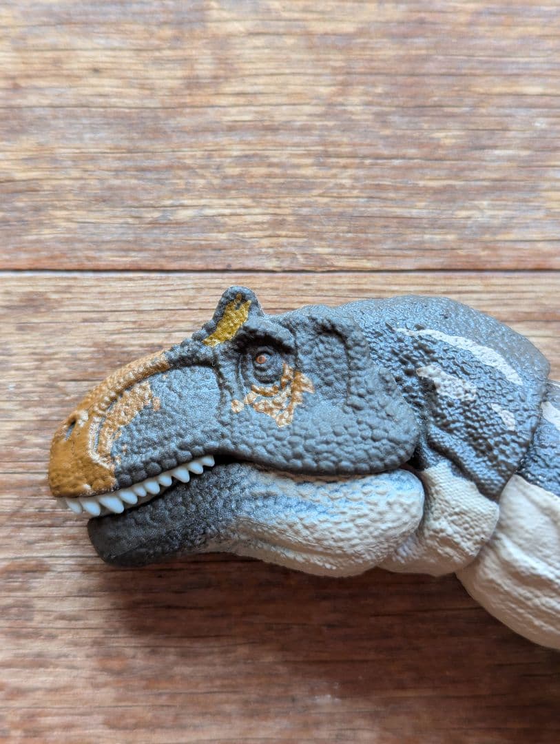 ハモンドコレクション　メトリアカントサウルス