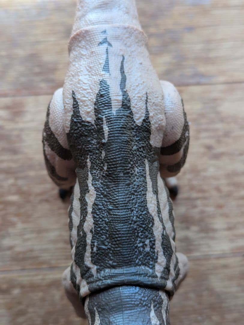 ハモンドコレクション　メトリアカントサウルス