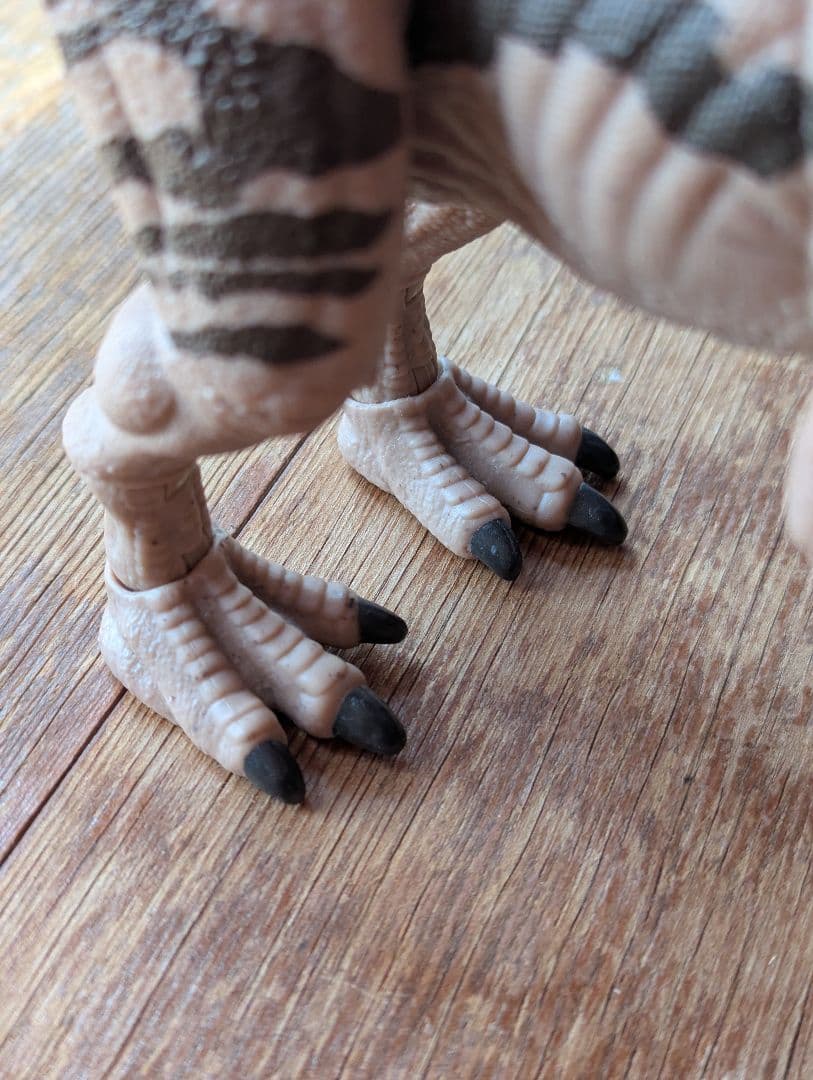 ハモンドコレクション　メトリアカントサウルス