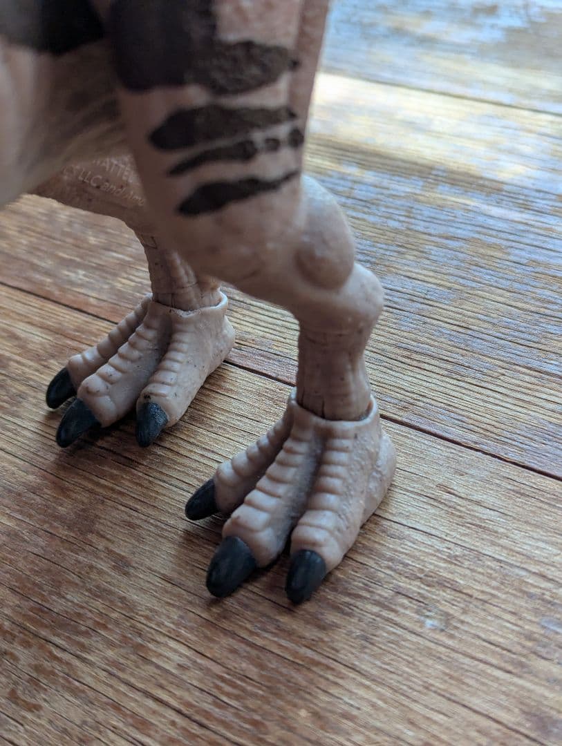 ハモンドコレクション　メトリアカントサウルス