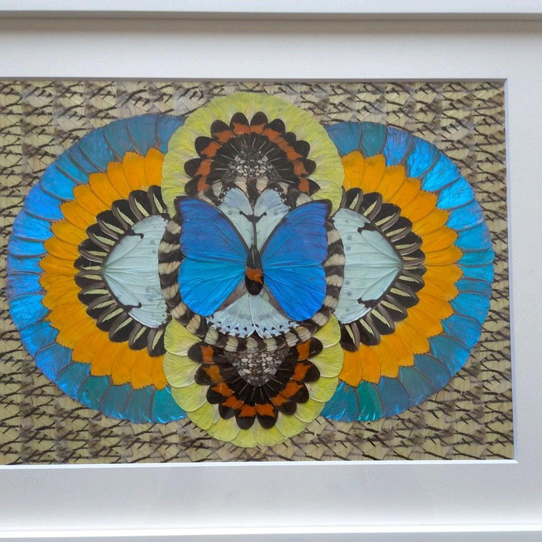 モルフォ蝶　貼り絵　芸術品