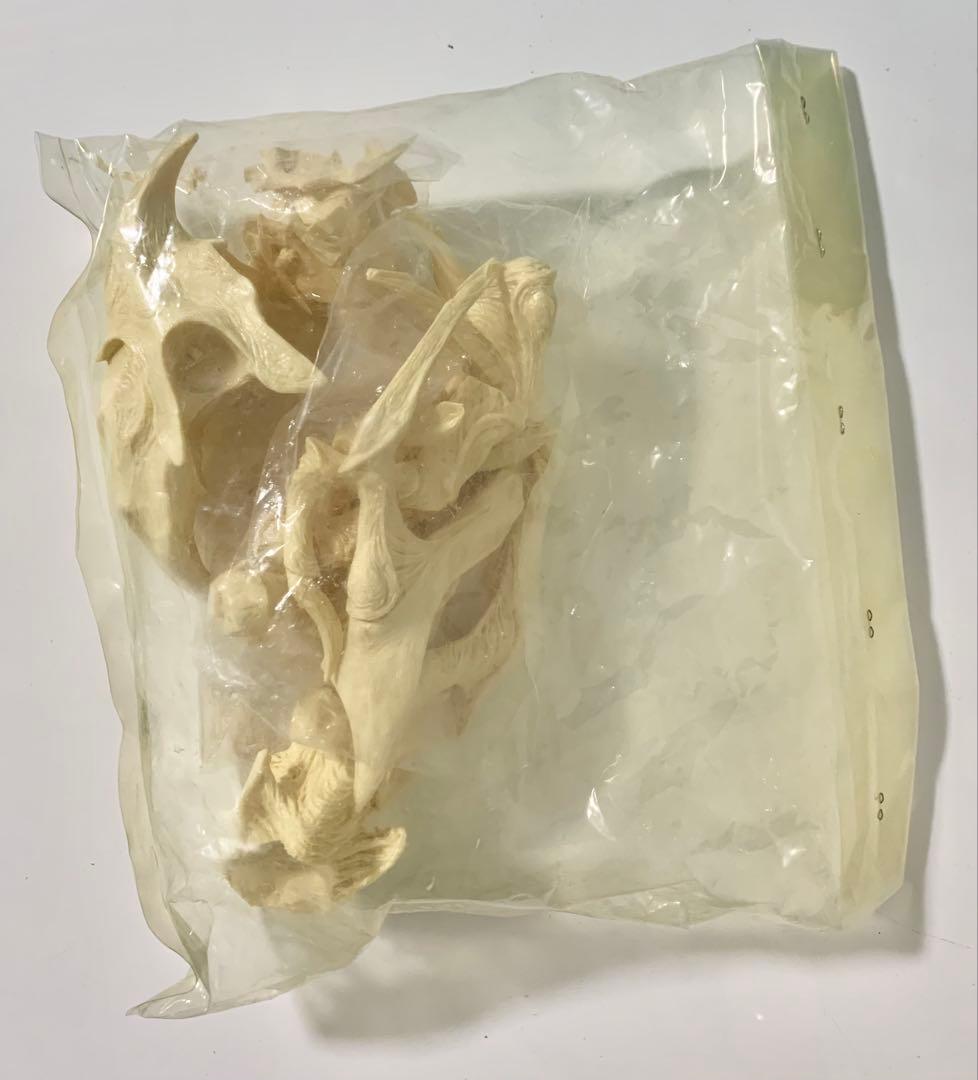 海洋堂　ソルジャーレギオン　レジンキット