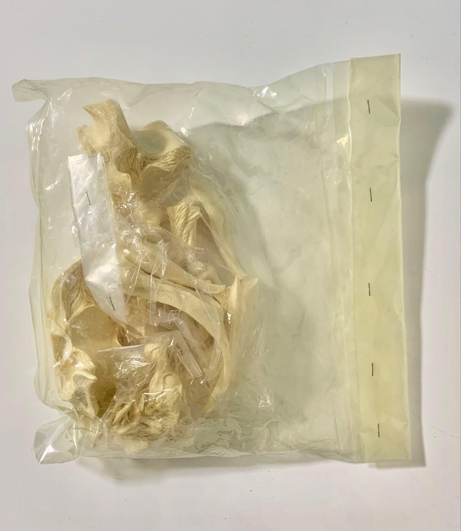 海洋堂　ソルジャーレギオン　レジンキット