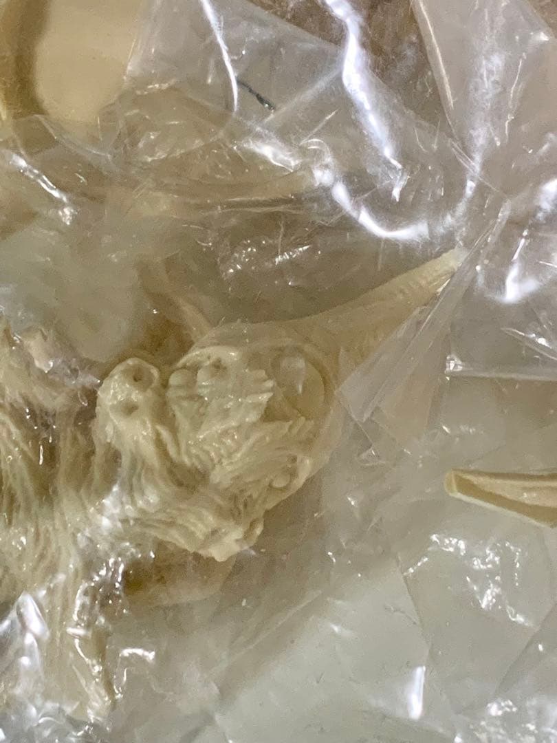 海洋堂　ソルジャーレギオン　レジンキット