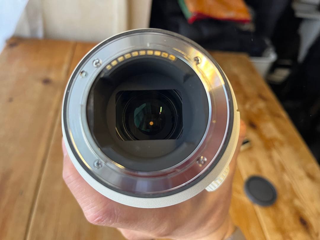 【豪華おまけ付 】 Sony FE 200-600mm F5.6-6.3G