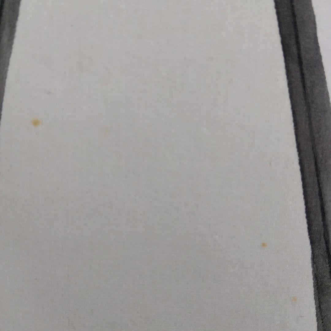 掛け軸　五月晴　青花　菖蒲