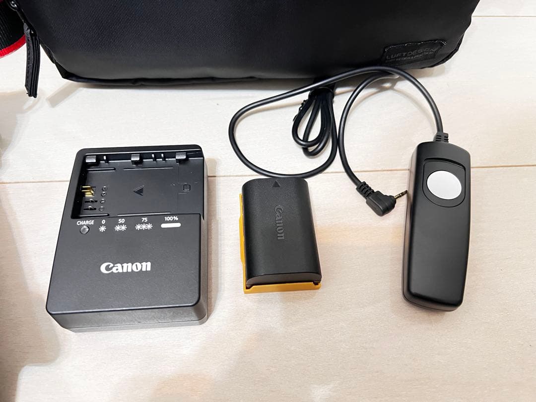 【超美品】キヤノン Canon EOS 80D おまけ付き