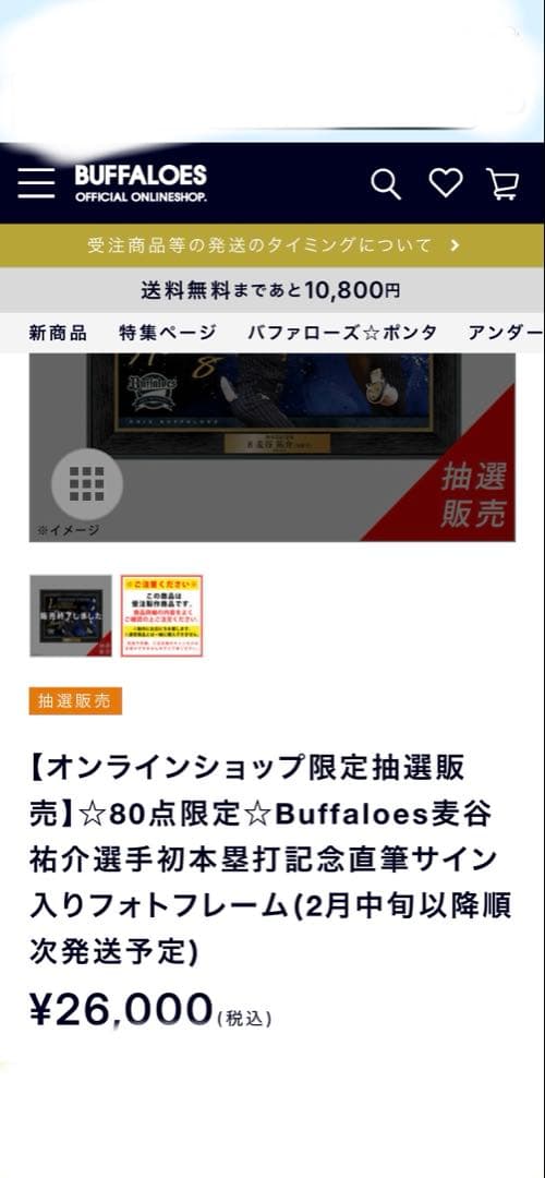 ⭐︎80個限定⭐︎ 麦谷祐介選手 初本塁打記念直筆サイン入りフォトフレーム
