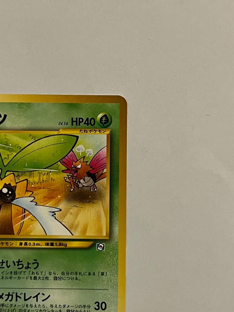 ヒマナッツ_「ポケモンカードになったワケ」おまけカード