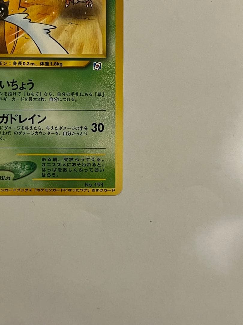 ヒマナッツ_「ポケモンカードになったワケ」おまけカード