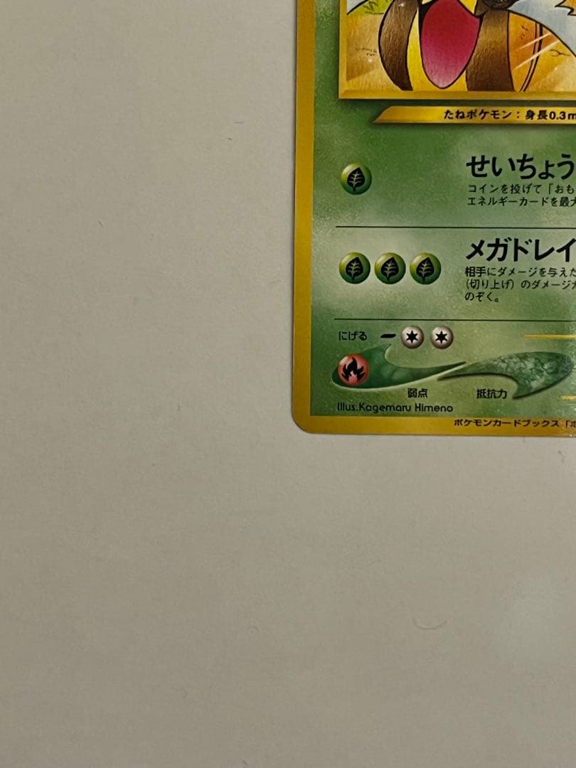 ヒマナッツ_「ポケモンカードになったワケ」おまけカード