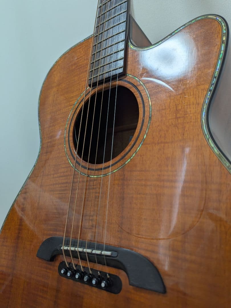 《値下げ》状態良好 k.yairi 2009 WY1K アコースティックギター
