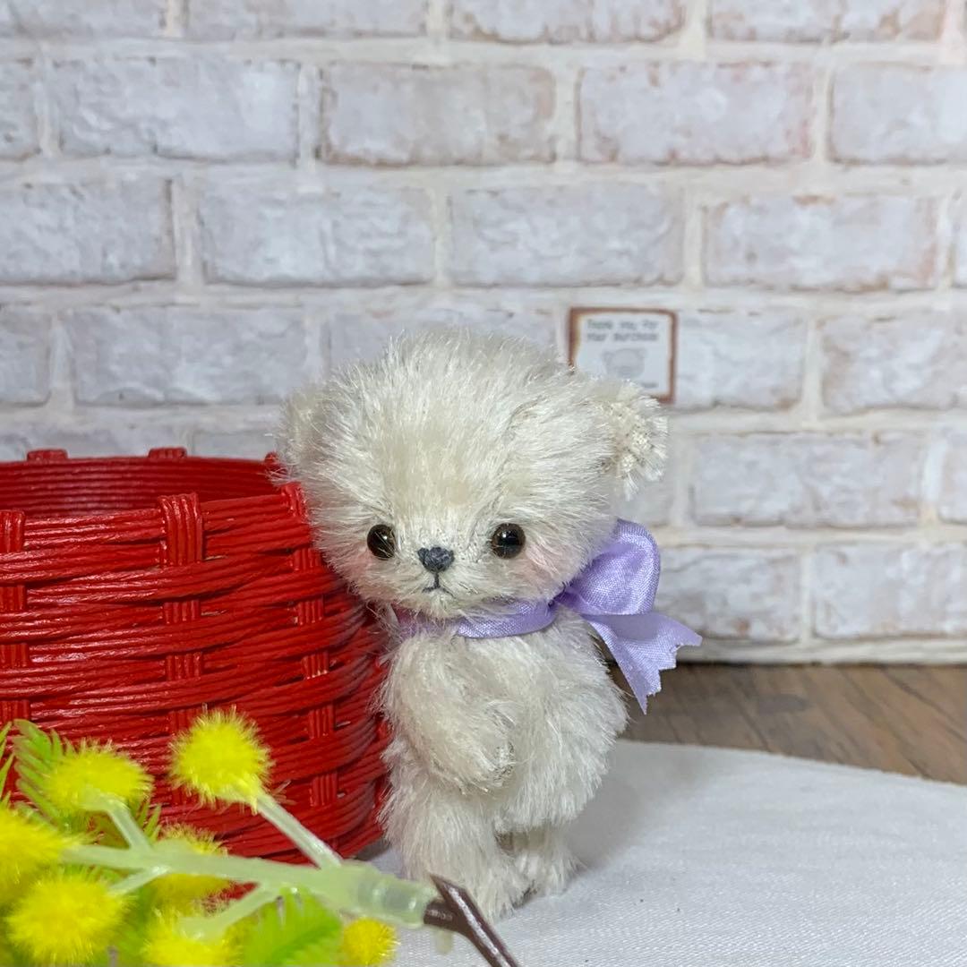 テディベア くすみホワイト色 小さな熊 可愛い子 シュタイフ ぬいぐるみは家族