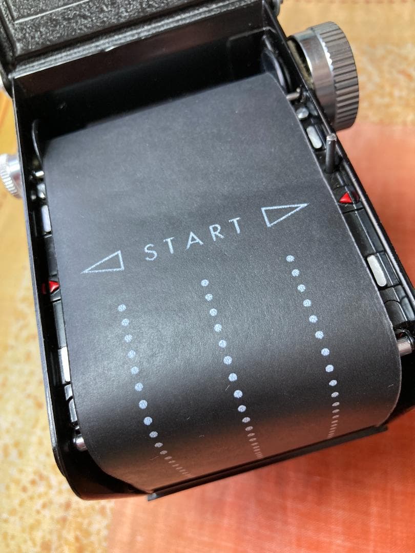 若葉が鮮やか　キラキラ感 YASHICA FLEX インテリアにもどうぞ