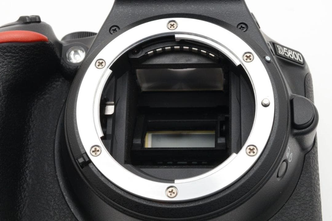 超美品　974ショット/使用率1% ニコン D5600 ダブルズームキット