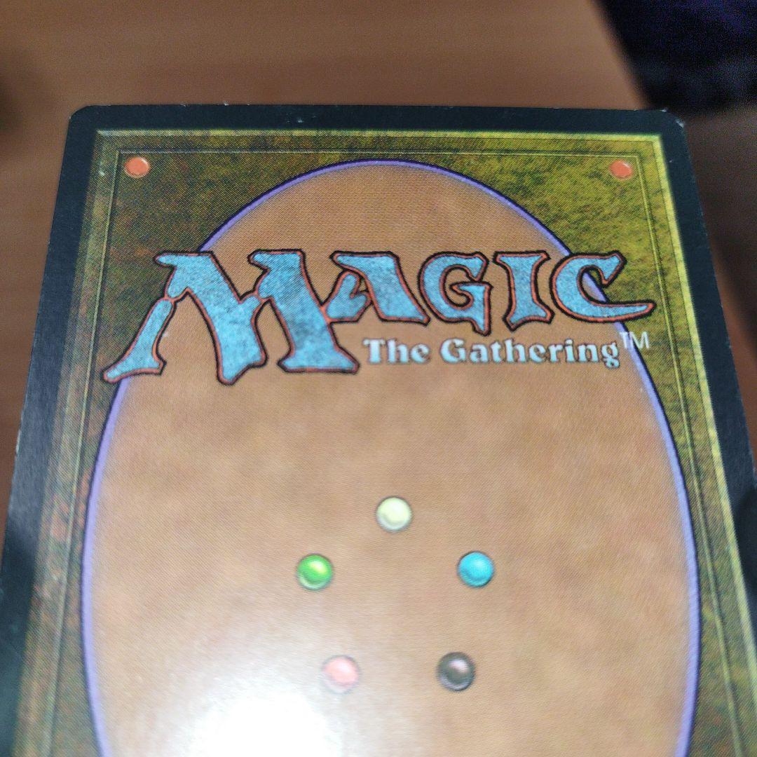 MTG 浅すぎる墓穴 日本語版