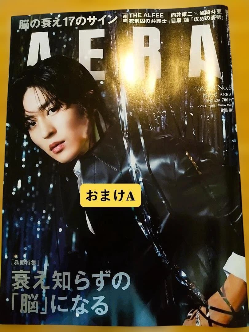 BIGぬい・ソフビセット【目黒蓮】