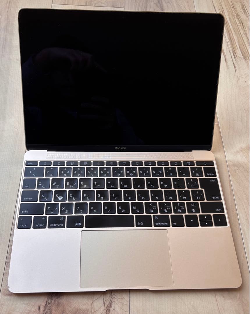 【ジャンク】MacBook 12インチ Early 2016 ゴールド