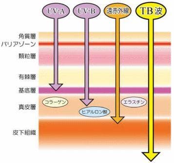 テラヘルツ鉱石を入れたネックレス 長さ50cm 青色