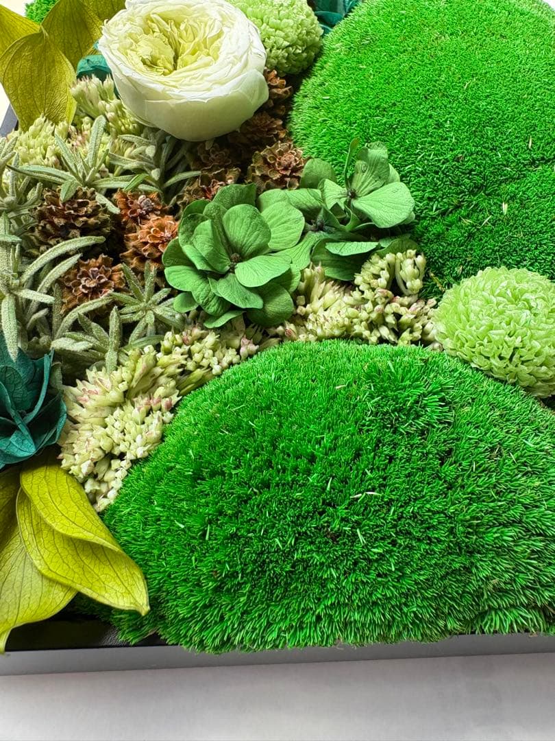 グリーンウォール/プリザーブドフラワー 壁掛けアレンジメント／アート&オブジェ