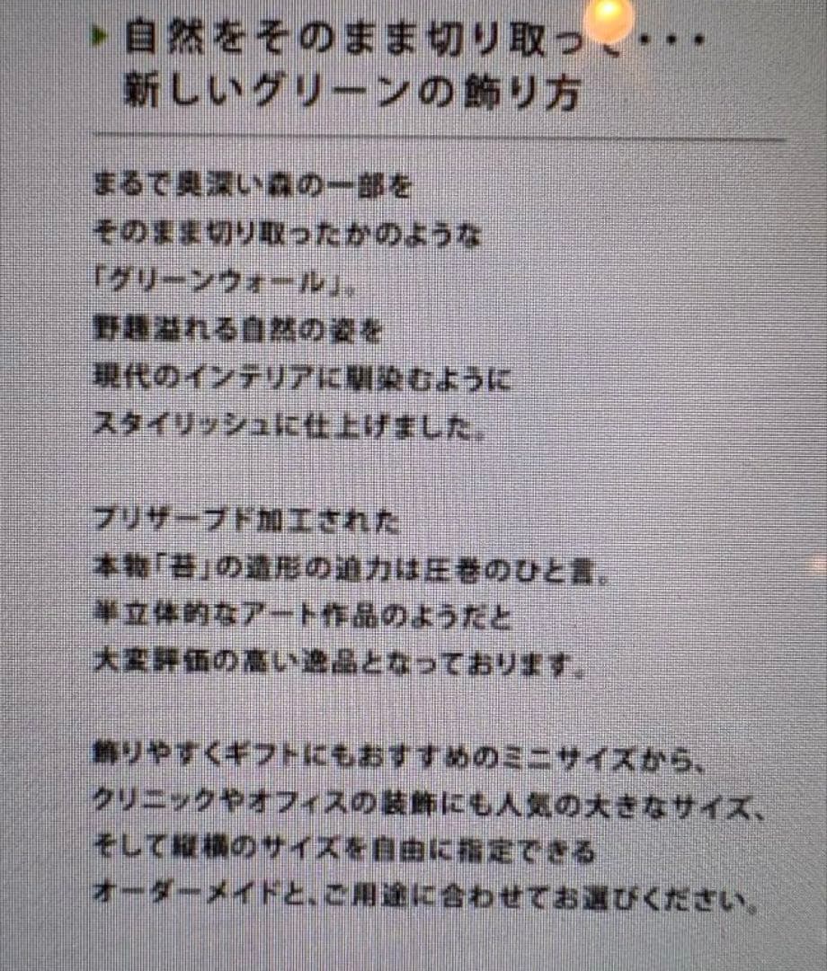 グリーンウォール/プリザーブドフラワー 壁掛けアレンジメント／アート&オブジェ