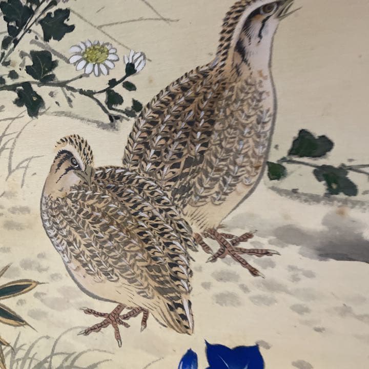 分部五鈴先生　秋草と鶉図　写真が全てです