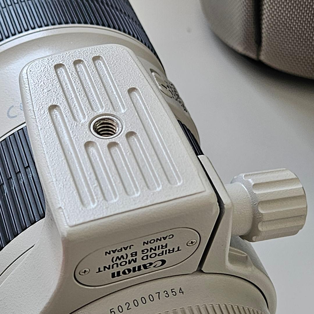 レンズ(ズーム) Canon EF70-200mm f2.8L IS II USM