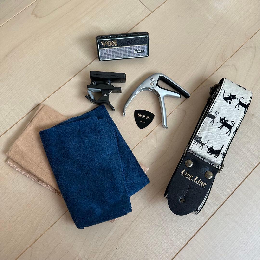 ギター　ヒストリー　history 島村楽器　CZ-SV