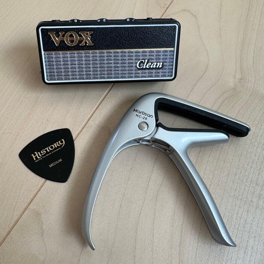 ギター　ヒストリー　history 島村楽器　CZ-SV