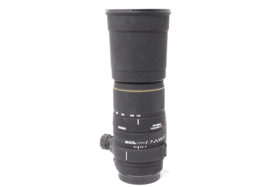 ❤️超望遠の世界へ❤️SIGMA 170-500mm F5-6.3 APO DG❤️