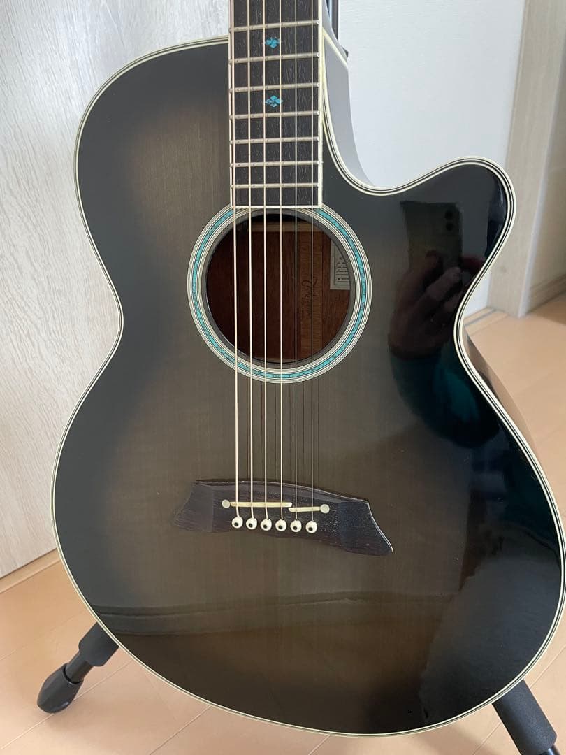 Takamine タカミネ PT-108 アコースティックギター エレアコ