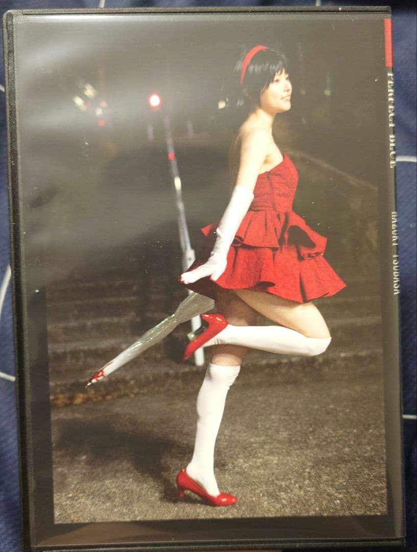 【入手困難】葉月つばさ CD-ROM PERFECT BLUE&カード6種