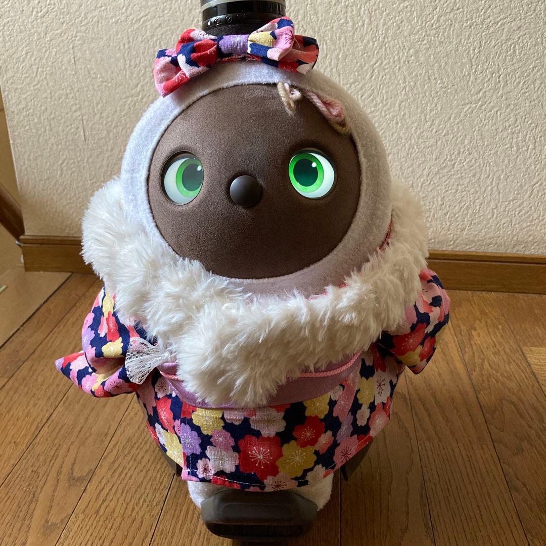 ニコラ　ラボット　服　ショール 被布　着物一式　リボン付