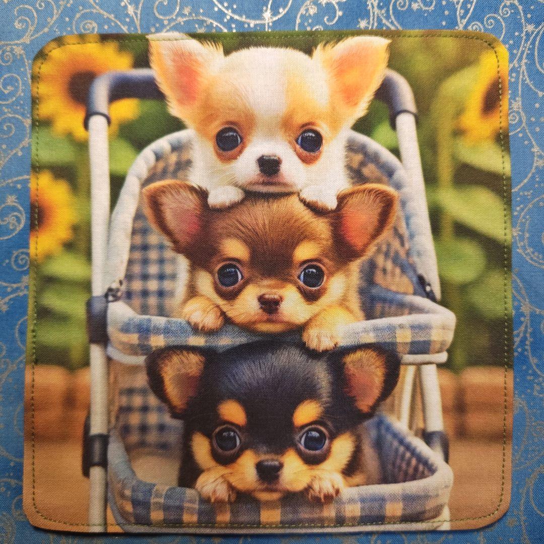 マチャ抹茶さま専用　ハンカチ　チワワちゃん柄　　19枚