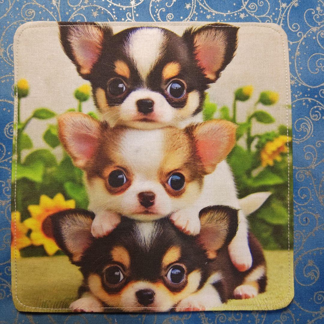 マチャ抹茶さま専用　ハンカチ　チワワちゃん柄　　19枚