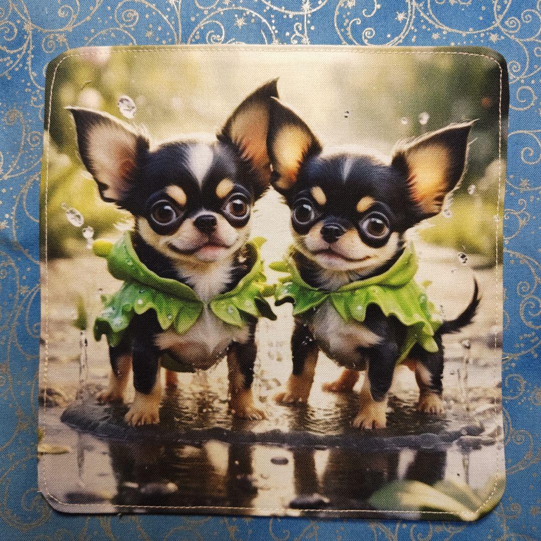 マチャ抹茶さま専用　ハンカチ　チワワちゃん柄　　19枚