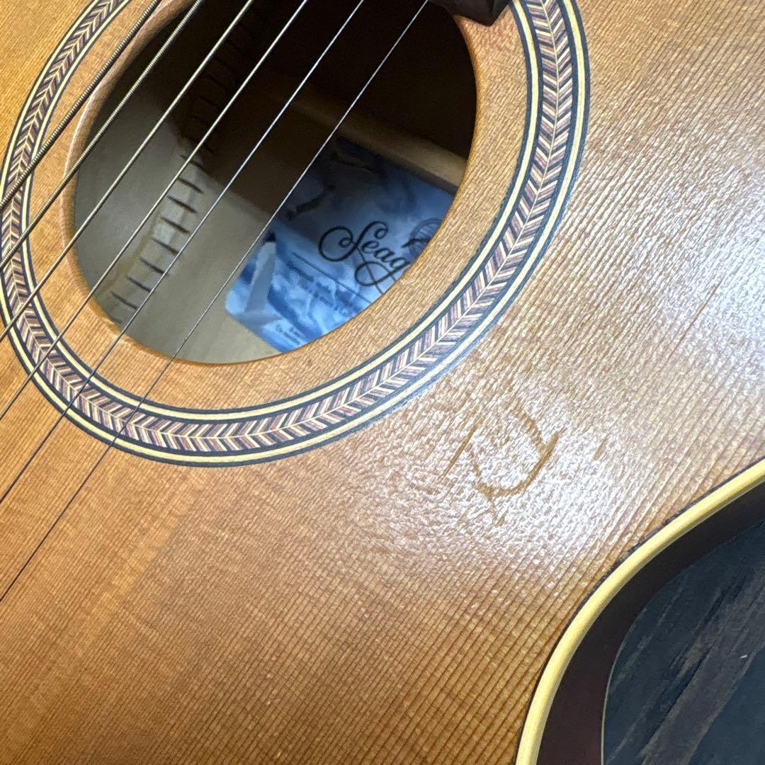 カナダ製シーガルアコースティックギター スプルーストップ