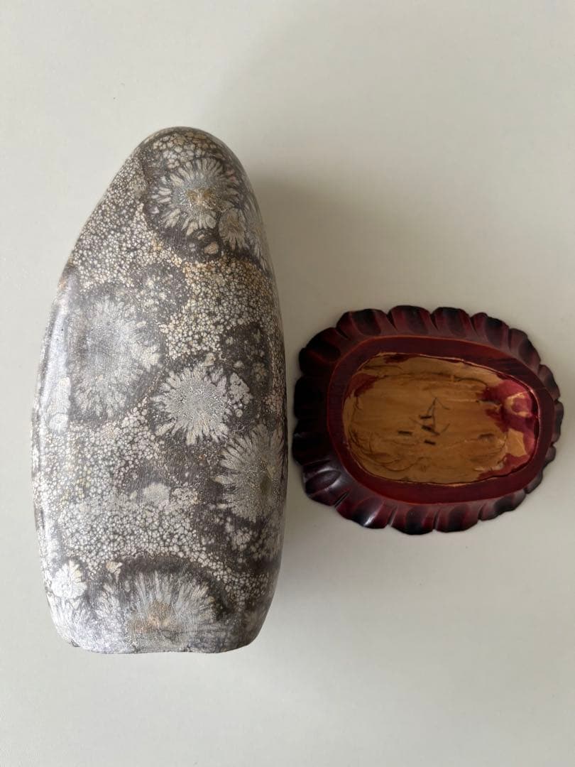 菊花石 木製台座付き