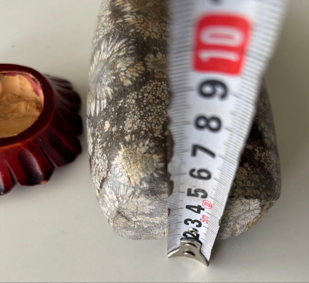 菊花石 木製台座付き