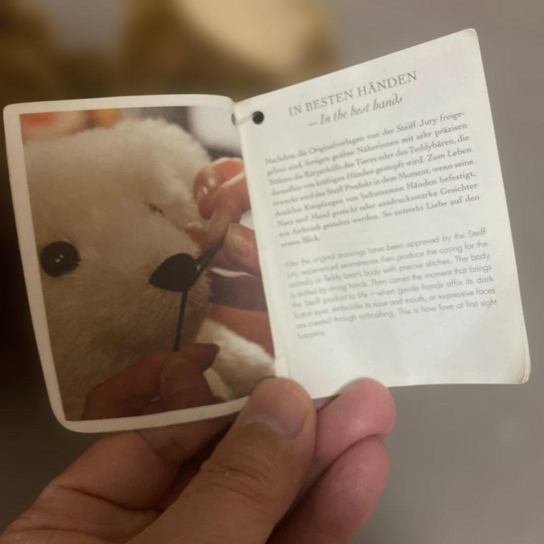 【美品】シュタイフ テディベア classic teddy bear 1909