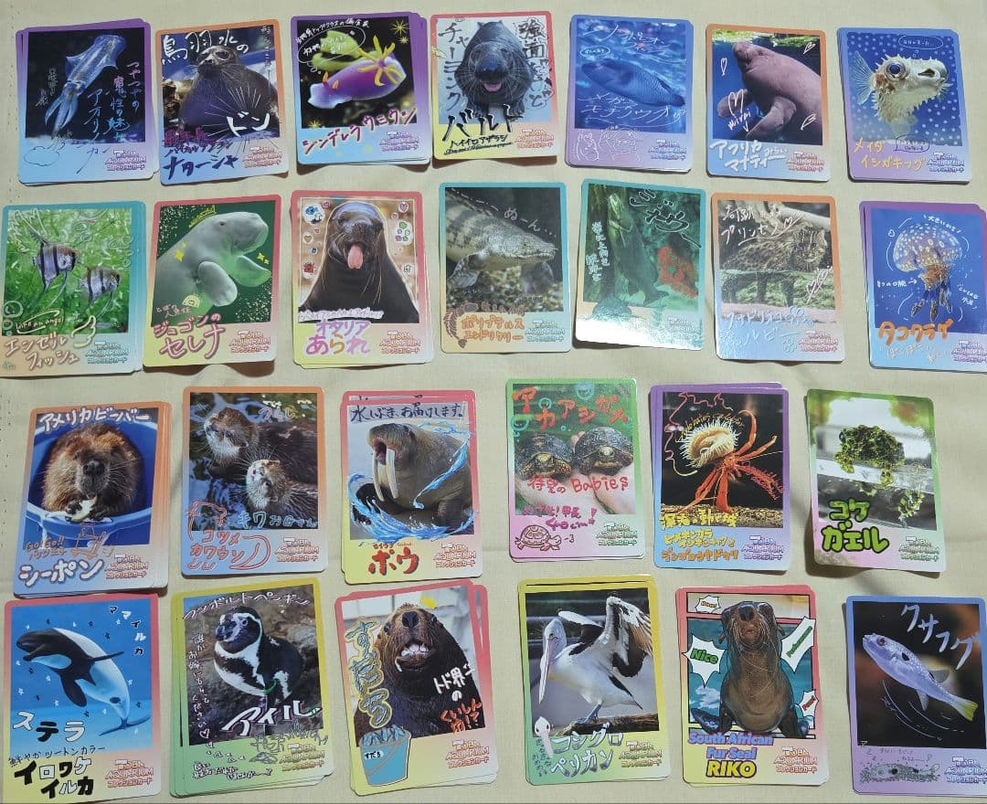 鳥羽水族館　とばすいコレカ2